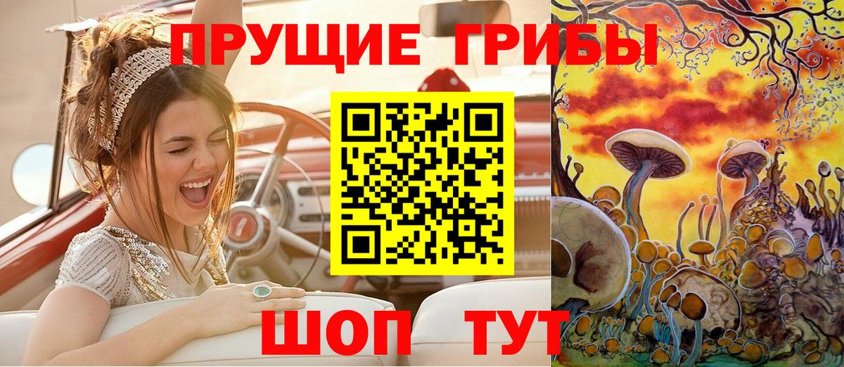 Галлюциногенные грибы GOLDEN TEACHER Соль-Илецк