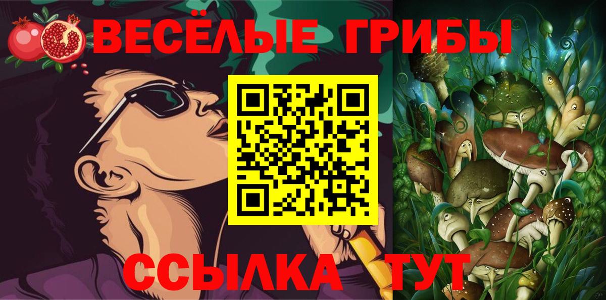 Соль-Илецк  Галлюциногенные грибы Magic Shrooms  Вход с VPN  Галлюциногенные грибы Cubensis 